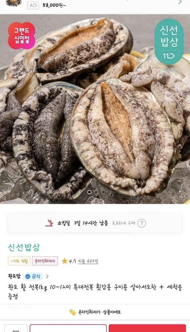 완도 활 전복1kg 10-12미 특대전복 살아서도착 + 세척솔 증정