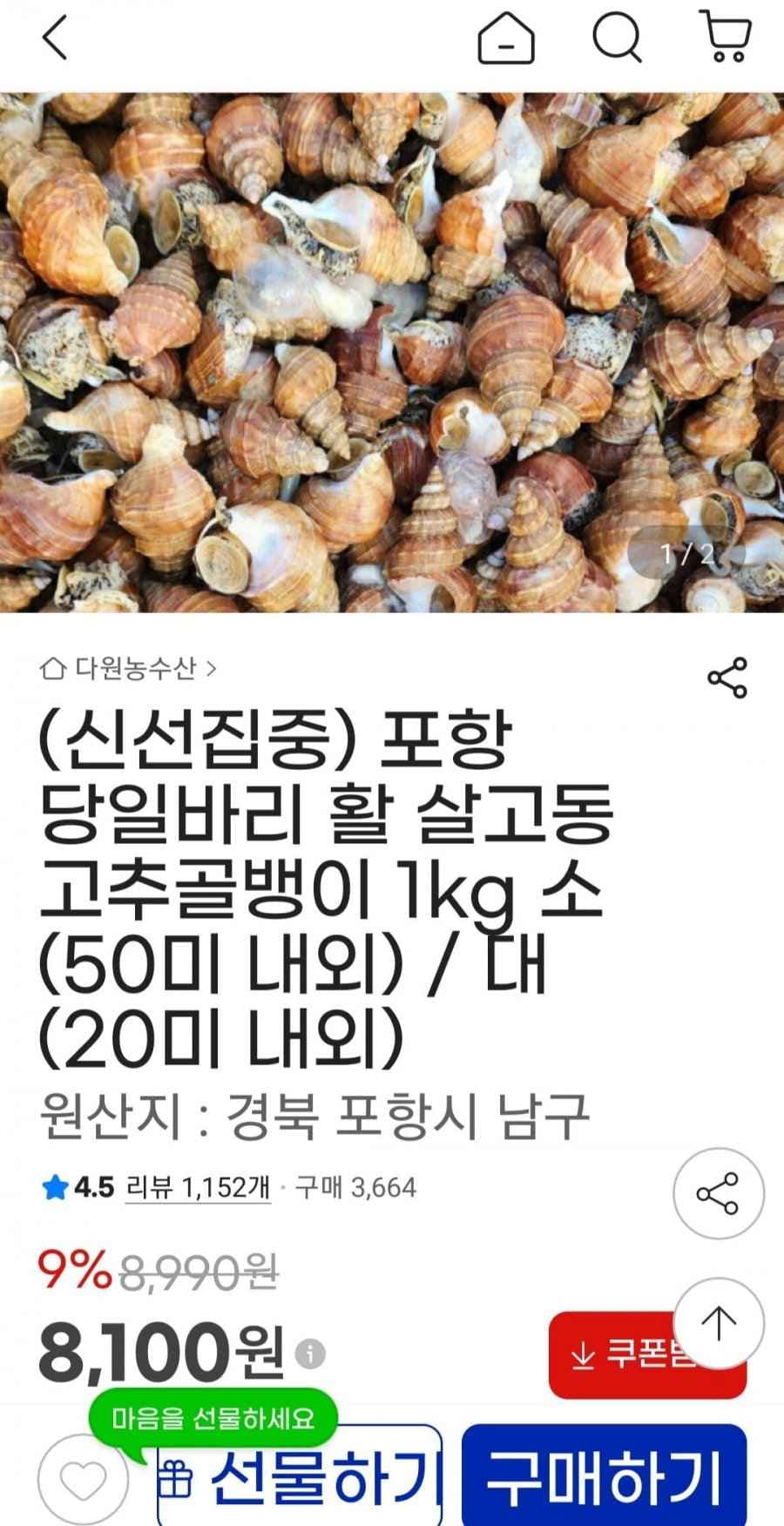 당일바리 활 살고동 고추골뱅이 1kg 소(50미) (8,100원/무배)