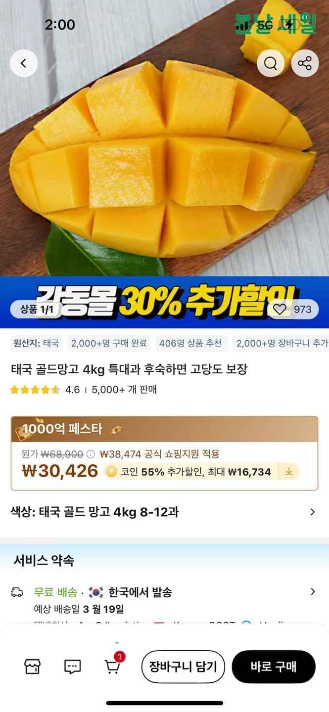 [알리) 고당도 태국 골드 망고 4kg 특대과 (19409원/무료)