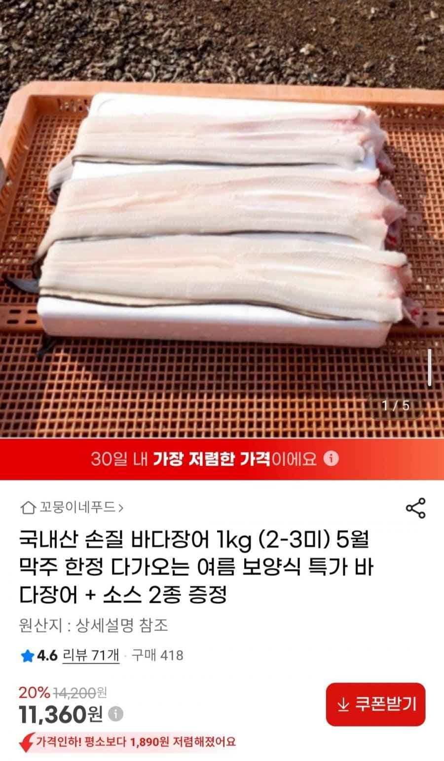 국내산 손질 바다장어 1kg (2-3미) 손질후 뼈머리 포함 600g 내외 소스 2종 증정 (11,360원/무배)