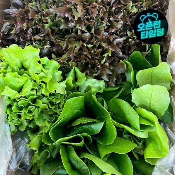 유러피안 샐러드 채소 유기농 1kg 4,420원