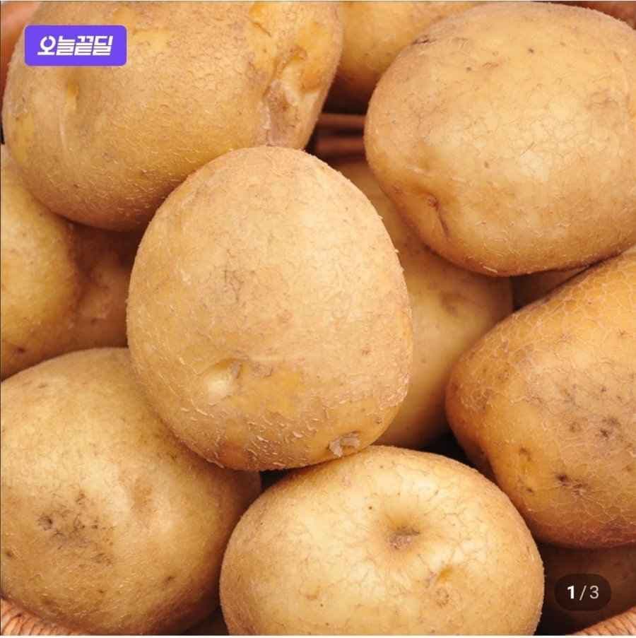 햇감자 포슬포슬 감자 제철 국내산 3kg (5,240원/무배)