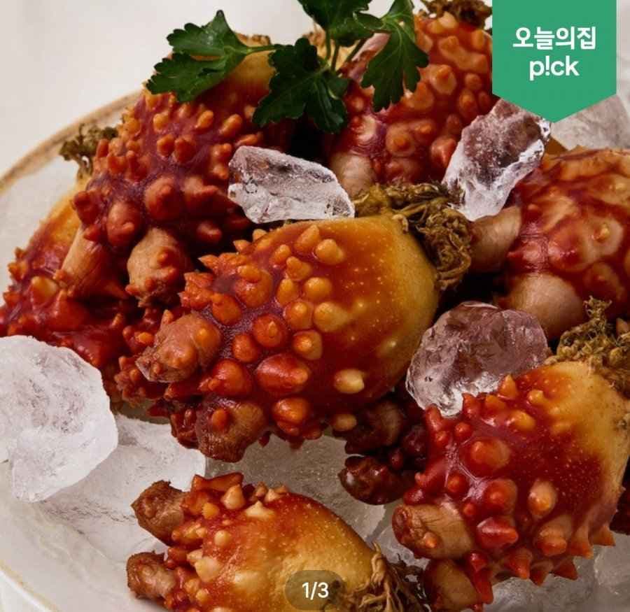 26년산 통영 활멍게 2kg 14~24미 외