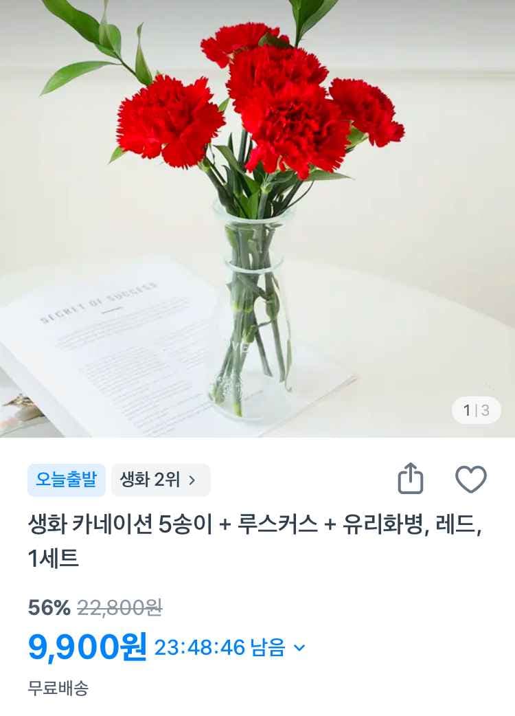 생화 카네이션 5송이+루스커스+유리화병 1세트 9900원
