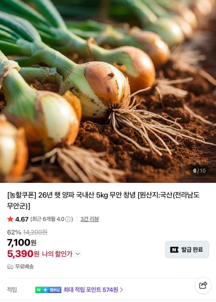 26년 무안 햇양파 5kg 5390원 (무배)