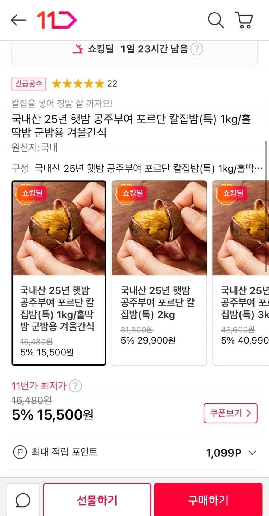 25년 출하 햇밤 국내산 포르단 칼집밤(특) 1kg (15,500/무배)