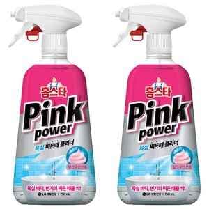 홈스타 핑크파워 욕실 찌든때 클리너 750ml 2개