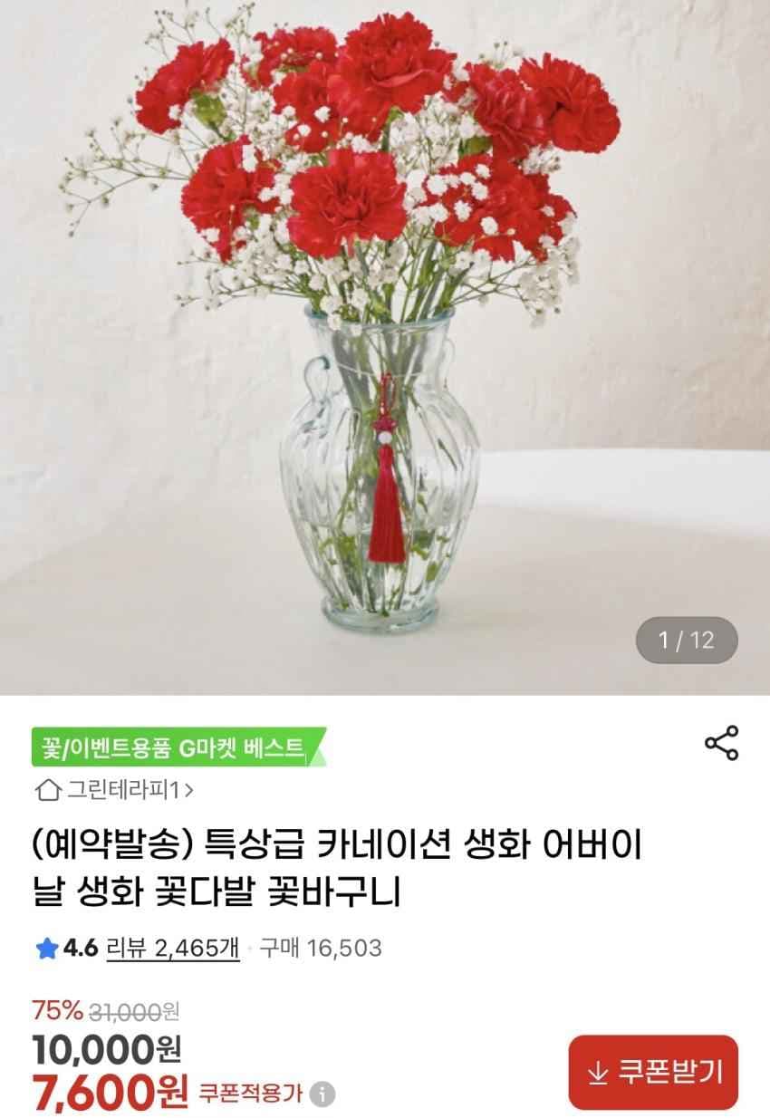 어버이날 특상급 카네이션 생화 7,600원