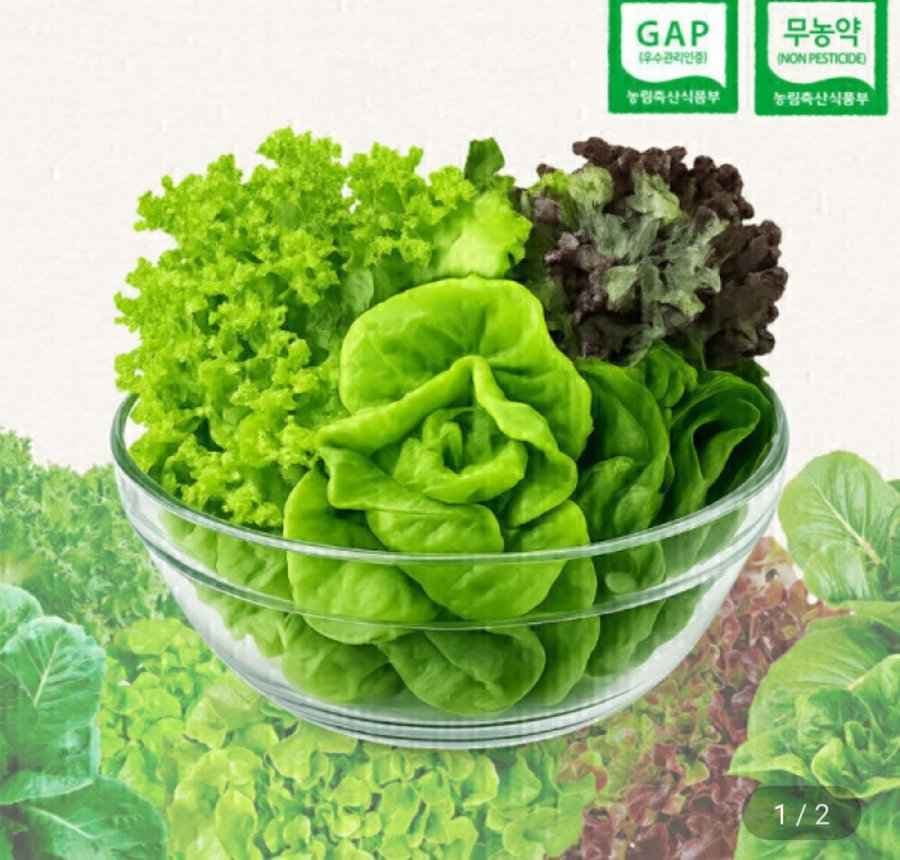 무농약 유러피안 샐러드 1kg (5,670원/무료)